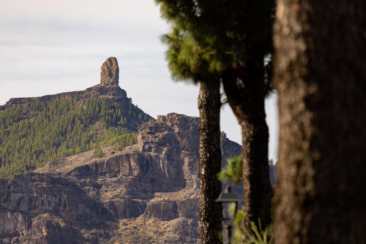 Вилла Casa Maruca With Roque Nublo View Крус-де-Техеда Экстерьер фото